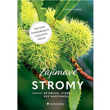 

Zajímavé stromy: 40 druhů, které vás nadchnou
