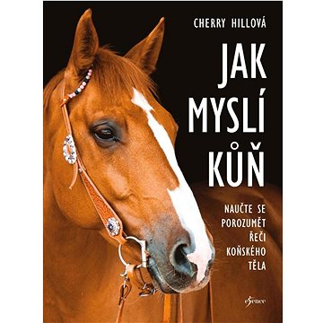 

Jak myslí kůň