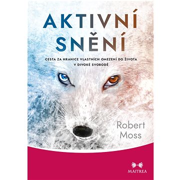 

Aktivní snění: Cesta za hranice vlastních omezení do života v divoké svobodě
