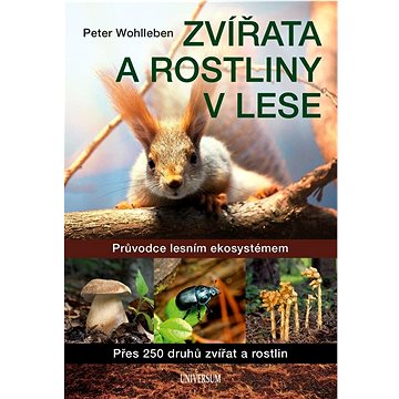 

Zvířata a rostliny v lese