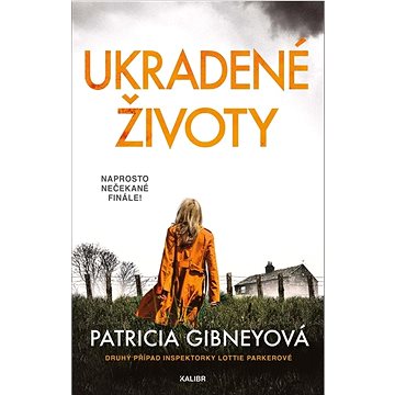 

Ukradené životy: Druhý případ inspektorky Lottie Parkerové