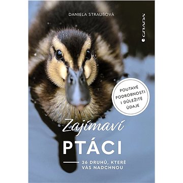 

Zajímaví ptáci: 36 druhů, které vás ohromí