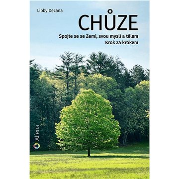 

Chůze: Spojte se se Zemí, svou myslí a tělem, Krok za krokem