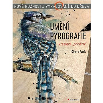 

Umění pyrografie: Nové možnosti vypalování do dřeva