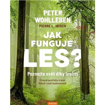 

Jak funguje les: Poznejte svět díky lesům