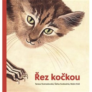 

Řez kočkou