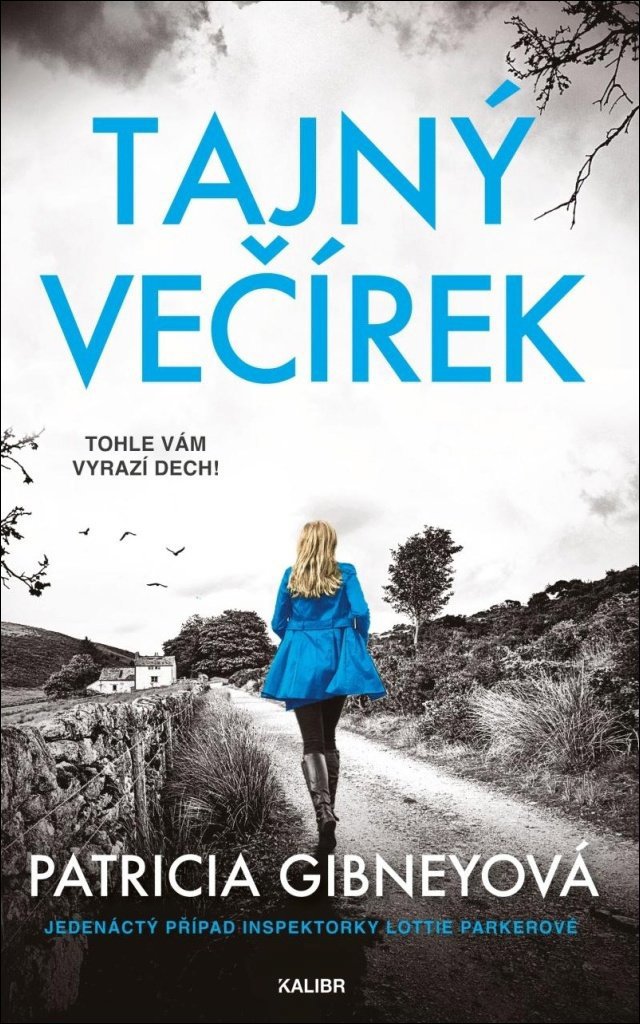 

Tajný večírek
