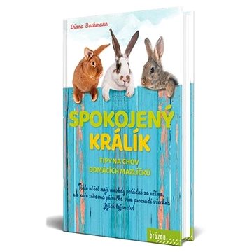 

Spokojený králík: Tipy na chov domácích mazlíčků