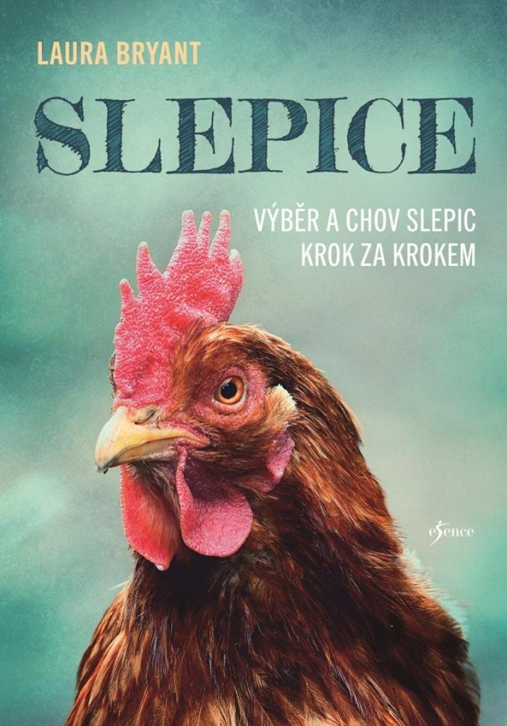 

Slepice: Výběr a chov slepic krok za krokem