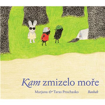 

Kam zmizelo moře