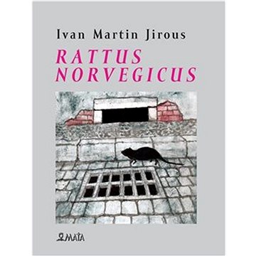 

Rattus norvegicus