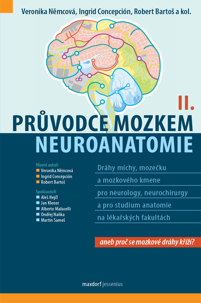 

Průvodce mozkem