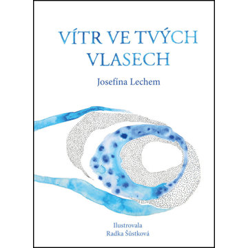 

Vítr ve tvých vlasech