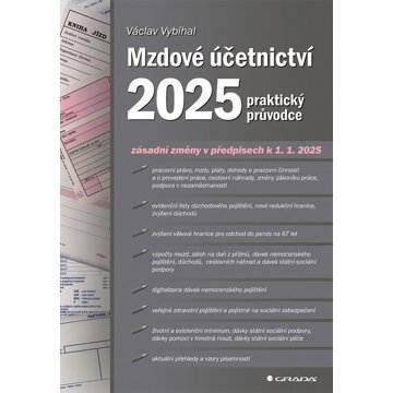 

Mzdové účetnictví 2025: praktický průvodce