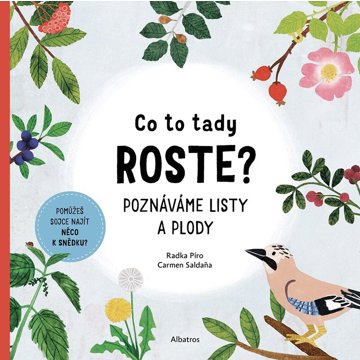 

Co to tady roste: Poznáváme listy a plody