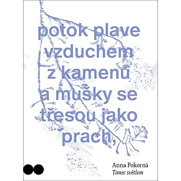 

Tanec světlem
