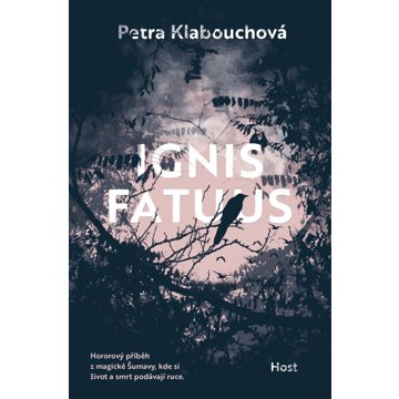 

Ignis fatuus
