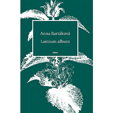 

Lamium album