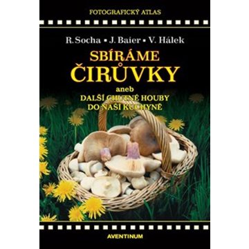

Sbíráme čirůvky a další chutné houby do naší kuchyně