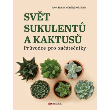 

Svět sukulentů a kaktusů: Průvodce pro začátečníky