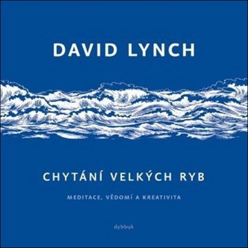 

Chytání velkých ryb: Meditace, vědomí a kreativita