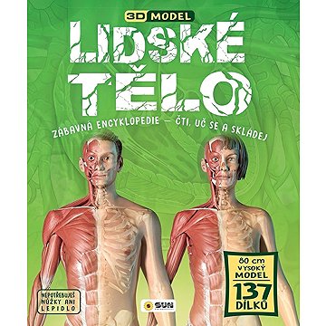 

Lidské tělo: 3D model