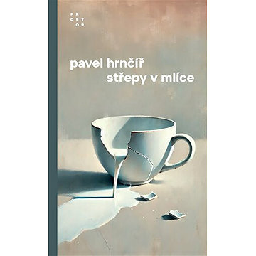 

Střepy v mlíce