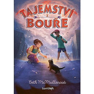 

Tajemství z bouře