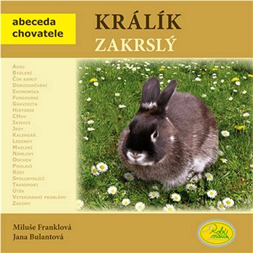

Králík zakrslý