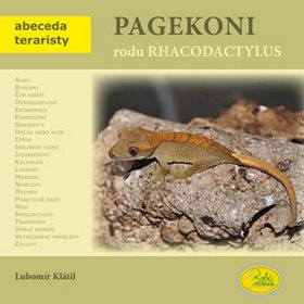 

Pagekoni rodu Rhacodactylus
