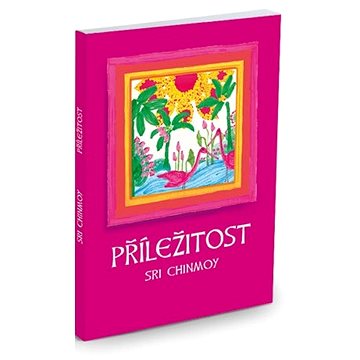 

Příležitost