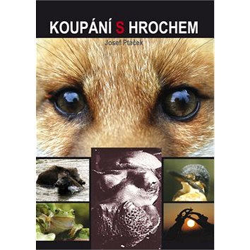 

Koupání s hrochem