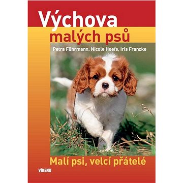 

Výchova malých psů: Malí psi, velcí přátelé