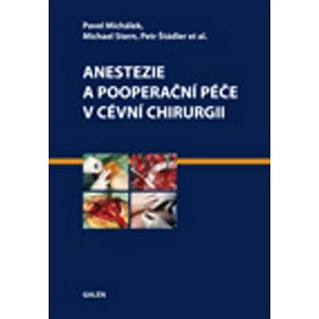 

Anestezie a pooperační péče v cévní chirurgii