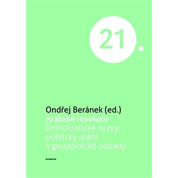 

Arabské revoluce: Demokratické výzvy, politický islám a geopolitické dopady