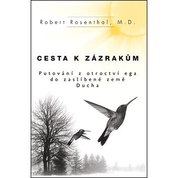 

Cesta k zázrakům: Putování z otroctví Ega do Zaslíbené země Ducha