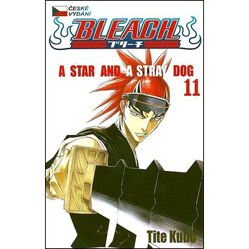 

Bleach 11