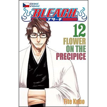 

Bleach 12: Flower on the Precipice