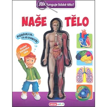 

Naše tělo: Jak funguje lidské tělo