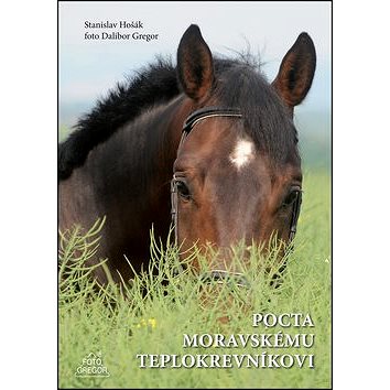 

Pocta moravskému teplokrevníkovi