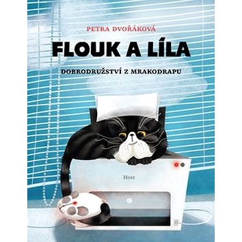 

Flouk a Líla: Dobrodružství z mrakodrapu