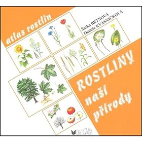 

Rostliny naší přírody