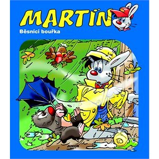 Martin Běsnící bouřka - Kniha