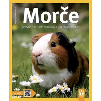

Morče