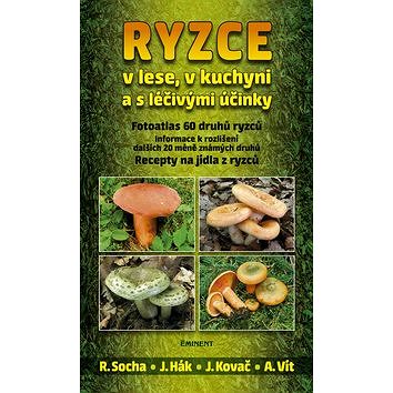 

Ryzce: v lese, v kuchyni a s léčivými účinky