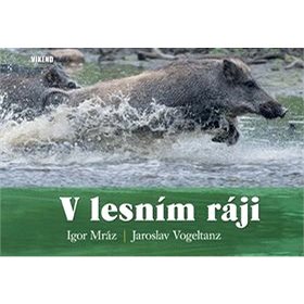 

V lesním ráji
