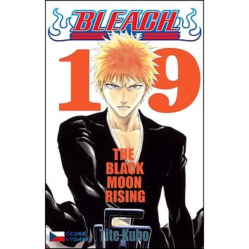 

Bleach 19: The Black Moon Rising