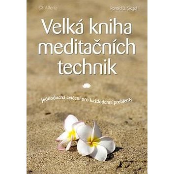 

Velká kniha meditačních technik: Jednoduchá cvičení pro každodenní problémy
