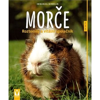 

Morče: Roztomilý a vitální společník