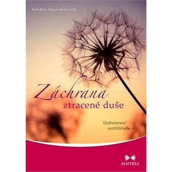 

Záchrana ztracené duše: Uzdravování roztříštěného já